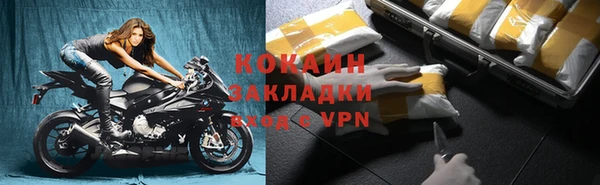 шишки Дмитриев