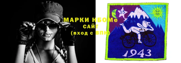 шишки Дмитриев