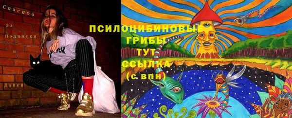 шишки Дмитриев