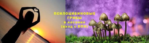 ПСИЛОЦИБИНОВЫЕ ГРИБЫ Дмитровск