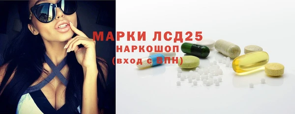 шишки Дмитриев
