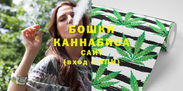 ПСИЛОЦИБИНОВЫЕ ГРИБЫ Дмитровск