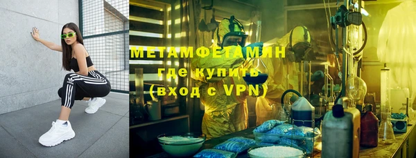 шишки Дмитриев