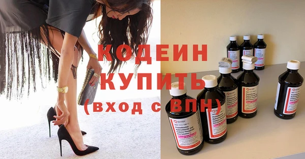 шишки Дмитриев