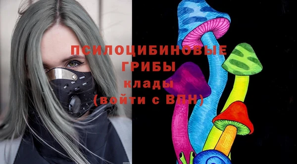 шишки Дмитриев