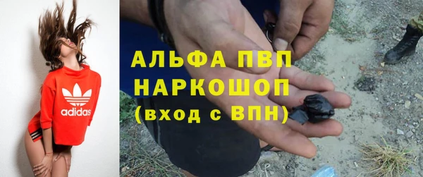 ПСИЛОЦИБИНОВЫЕ ГРИБЫ Дмитровск