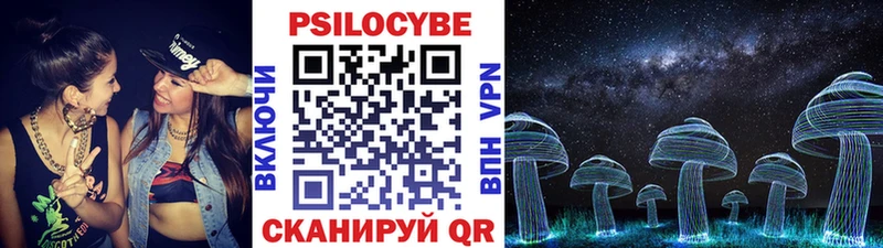Псилоцибиновые грибы Cubensis  Елизово 